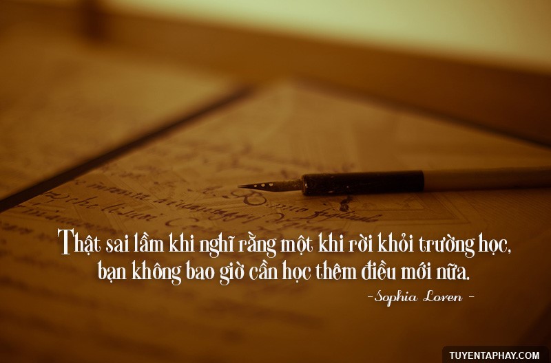 It's a mistake to think that once you're done with school you need never learn anything new.  - Sophia Loren -